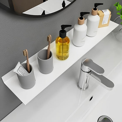 Wall Mounted Stainless Steel Shelf Organizer