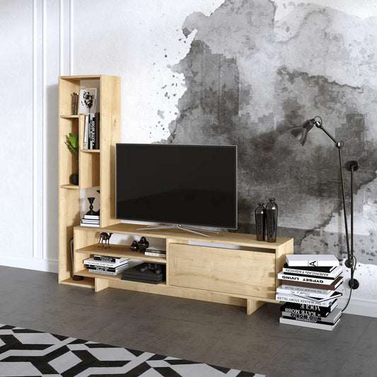 Indasia TV Stand