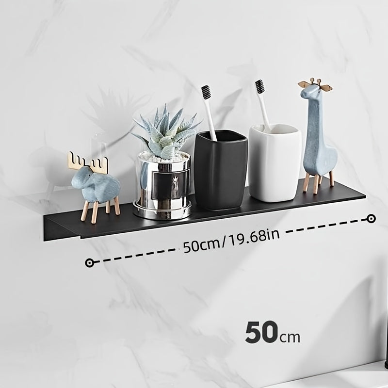 Wall Mounted Stainless Steel Shelf Organizer