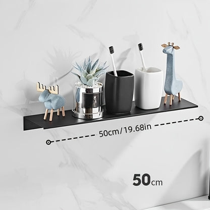 Wall Mounted Stainless Steel Shelf Organizer