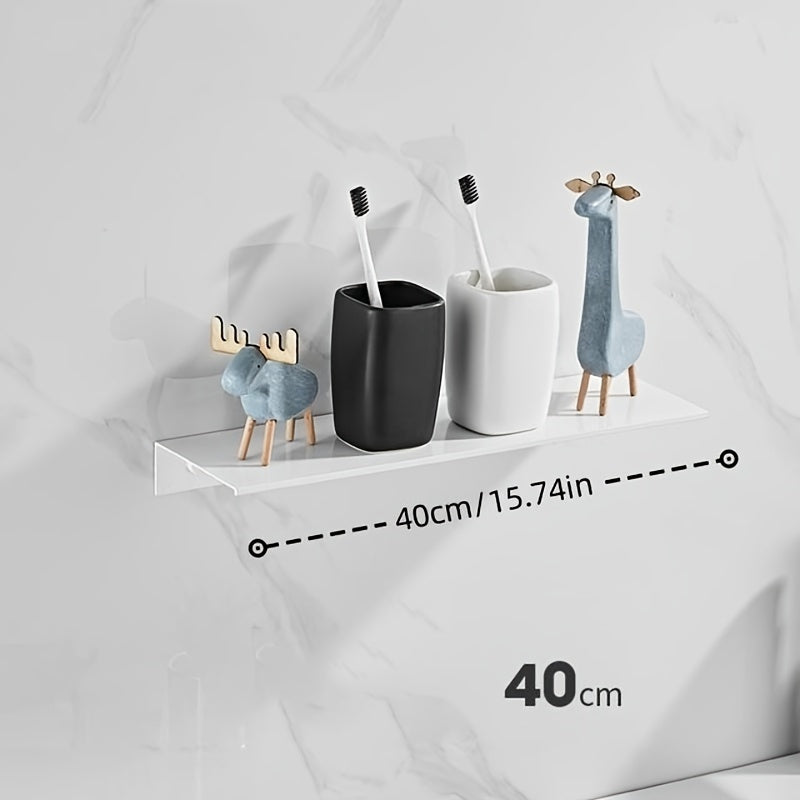 Wall Mounted Stainless Steel Shelf Organizer