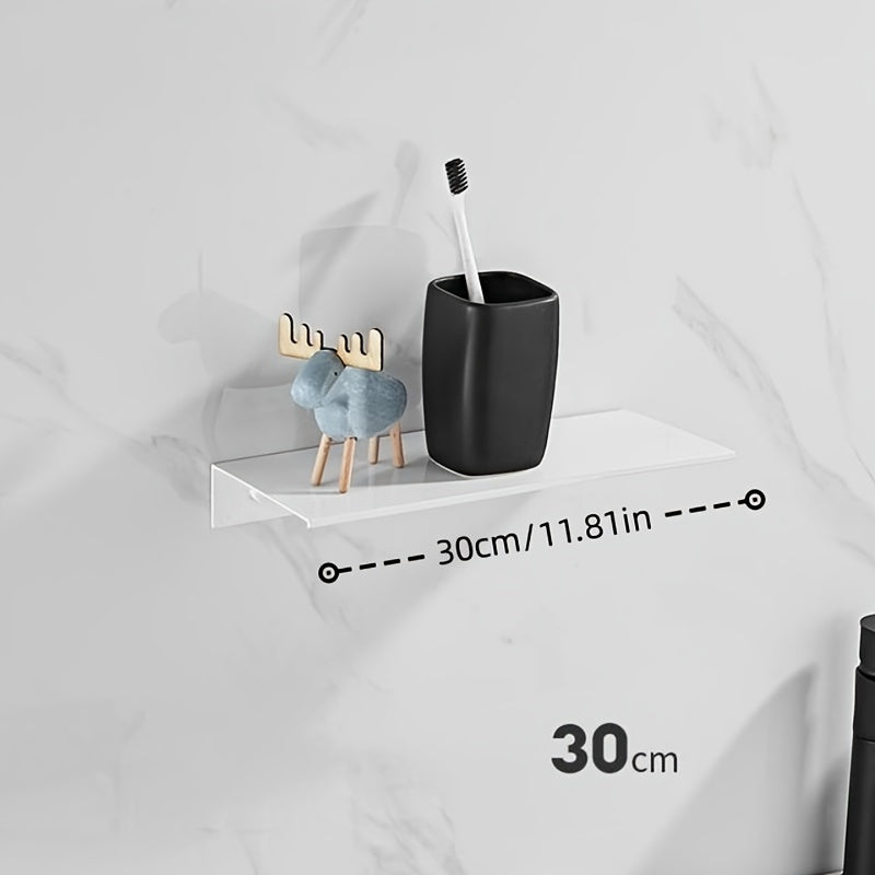 Wall Mounted Stainless Steel Shelf Organizer