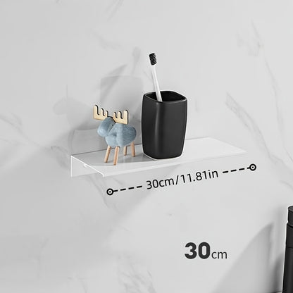 Wall Mounted Stainless Steel Shelf Organizer